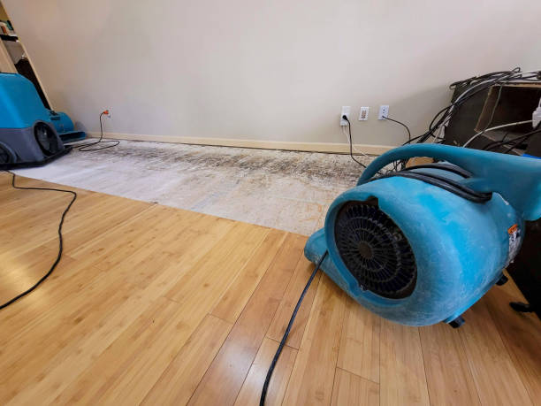 Professional Basement Flood Cleanup technician working in Holbrook, NY